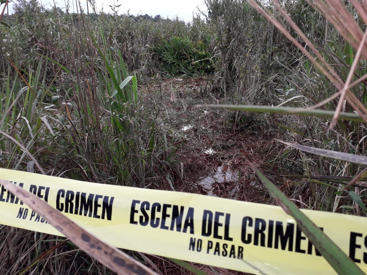 35 DUDAS DEL CASO JOSÍAS