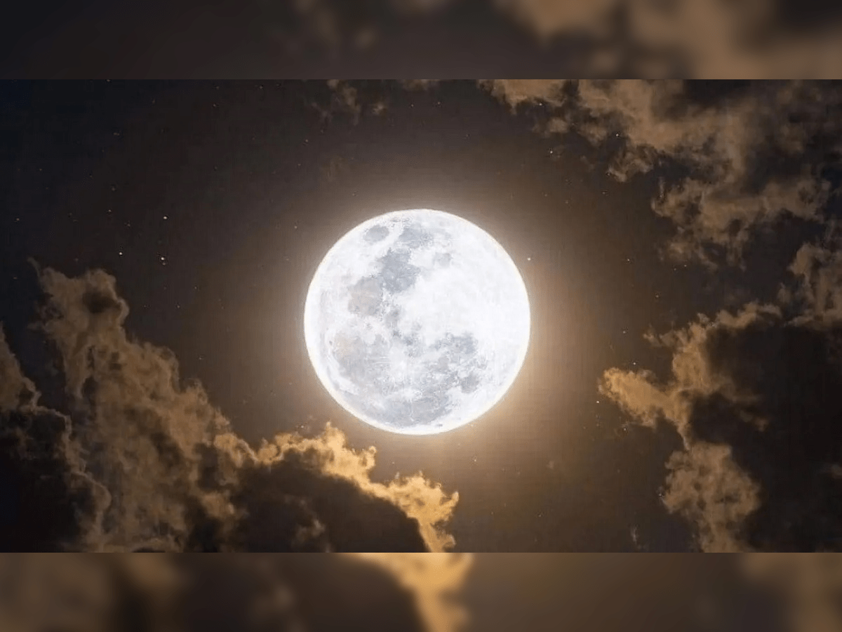 La triste herencia de Alcides, al que sospechaban lobizón