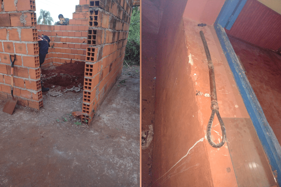 En la búsqueda de restos de Mario Golemba encontraron pruebas de violencia policial