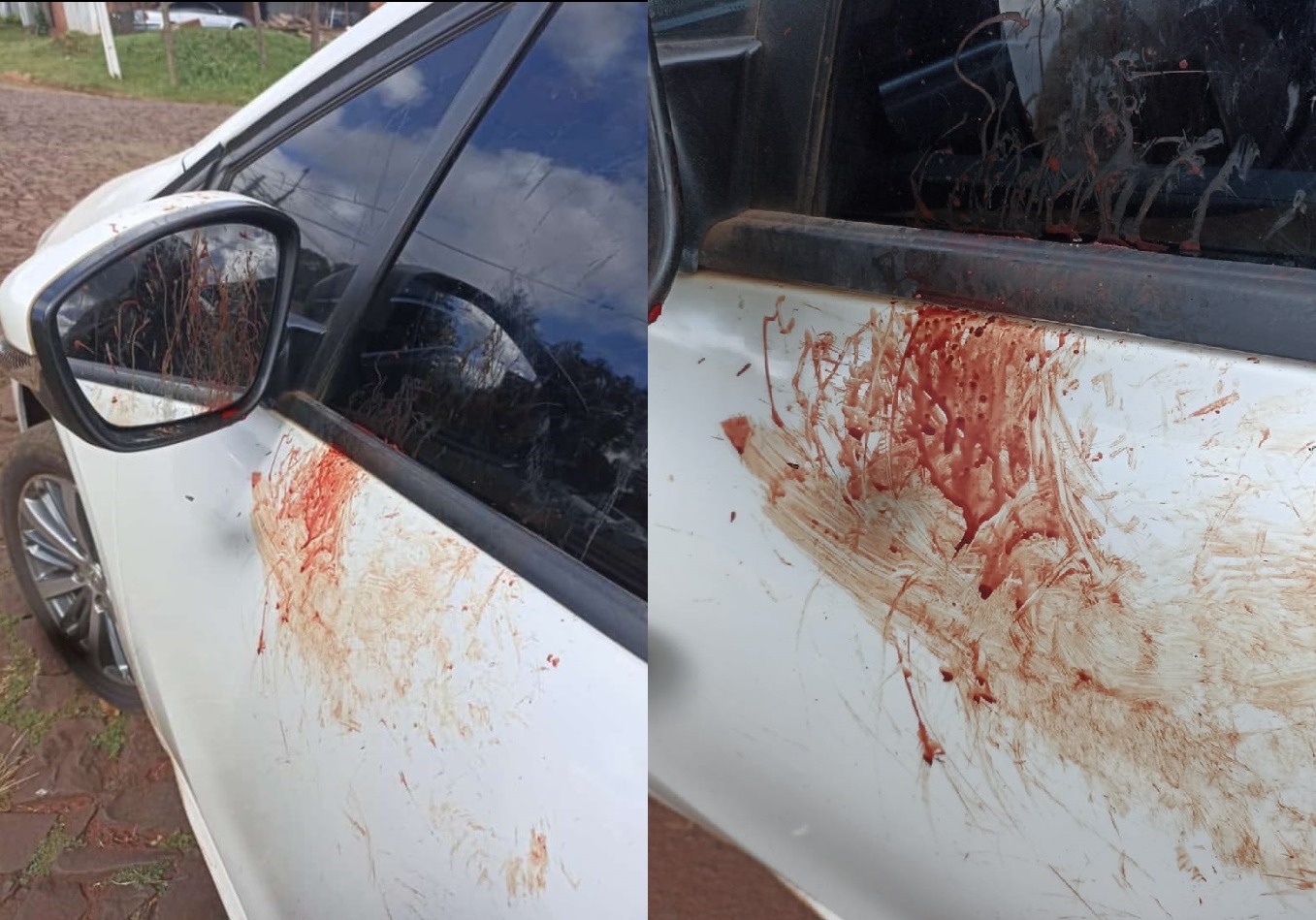 Sorpresa y preocupación por ataques de pájaros a autos estacionados en Oberá