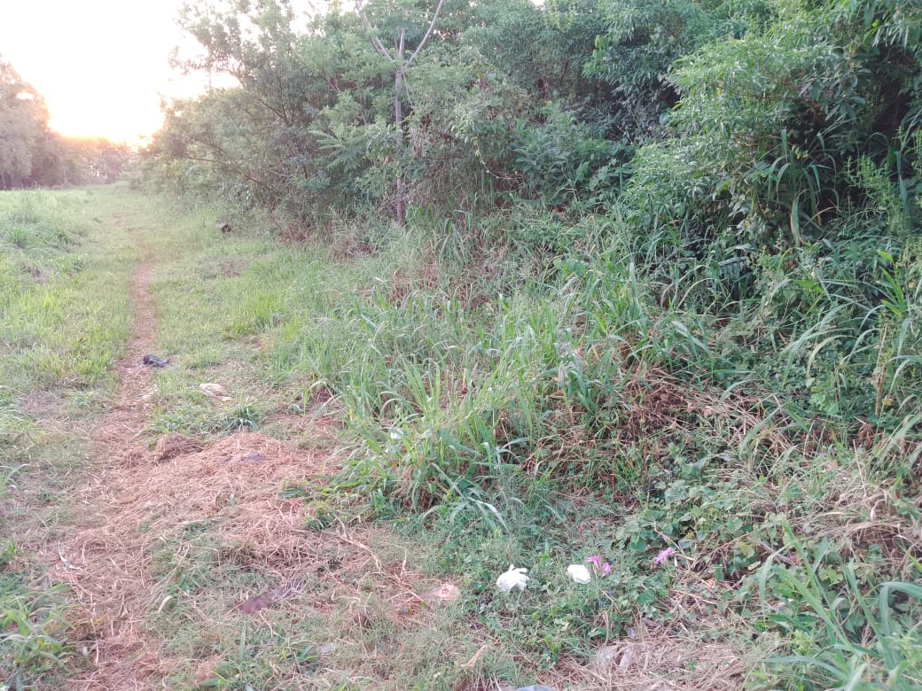 Violaron y asesinaron a una jubilada en un baldío del barrio Mate Rojo de Oberá