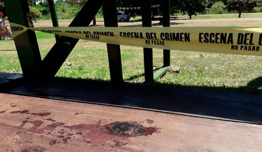 Hoy pasó a sala común la mujer apuñalada 13 veces: la milagrosa recuperación de Marcia Mattoso