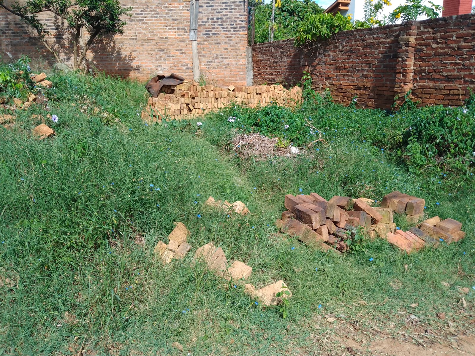 “El tipo está diciendo que no robó y sí robó. Aunque sean 50 ladrillos, robo es robo”