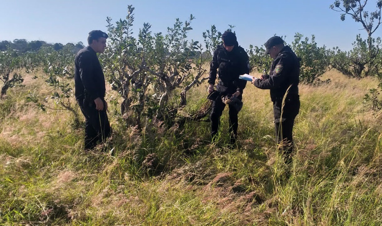 Villa Bonita: implicaron a dos chicos de 13 y 15 años en robo a mano armada a un comerciante