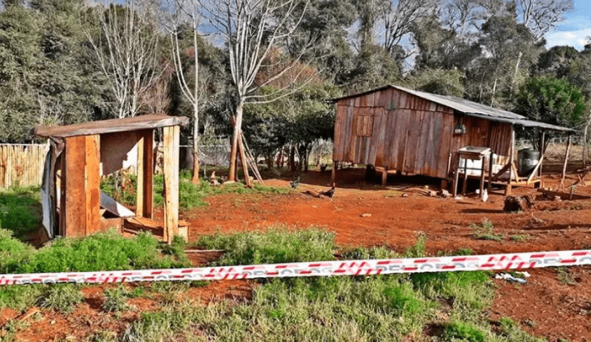 Asesinó a machetazos a su ex y a los dos hijos de la mujer, luego trató de suicidarse pero los médicos lo salvaron