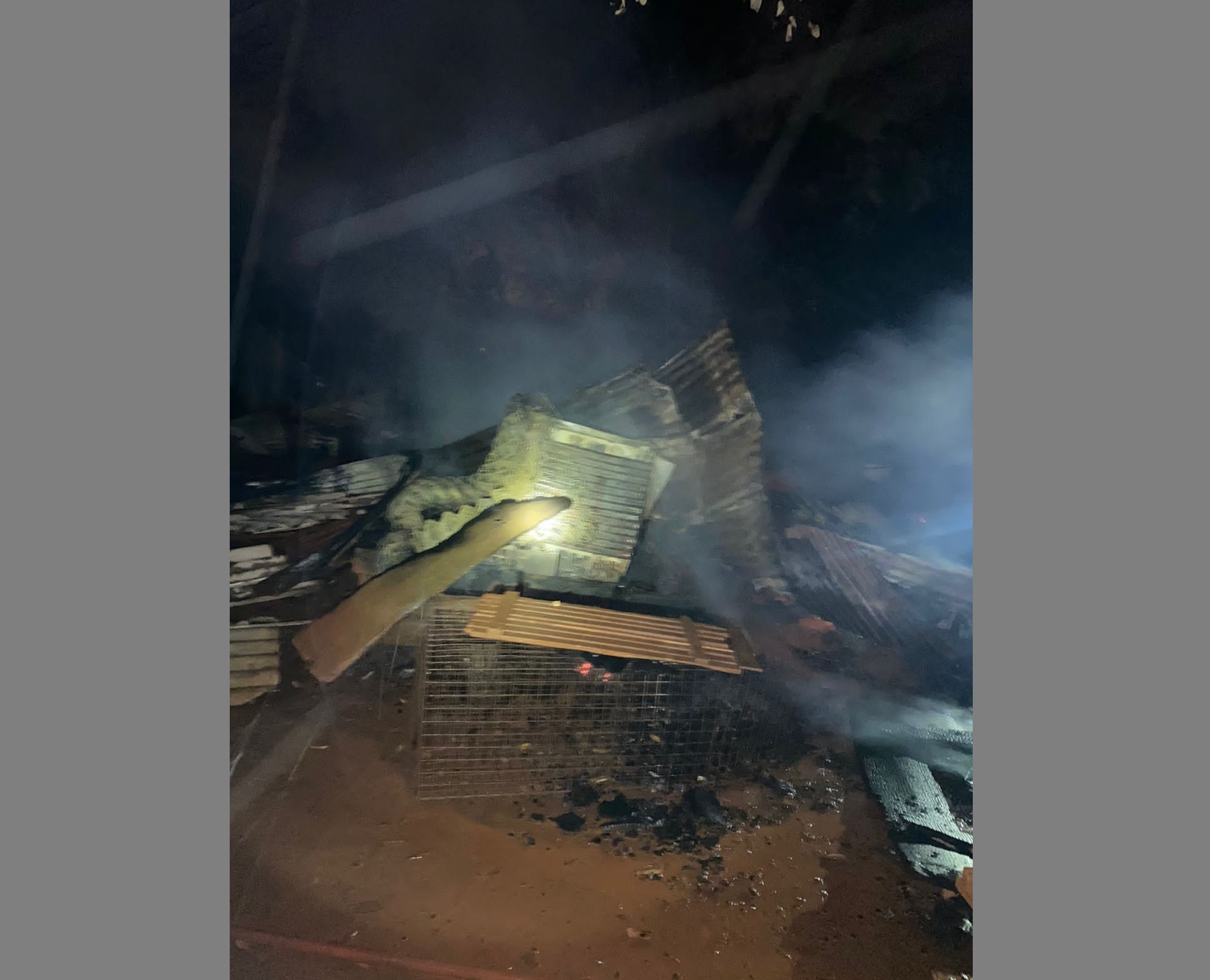 Murieron diez perros por incendio de un refugio en Campo Viera