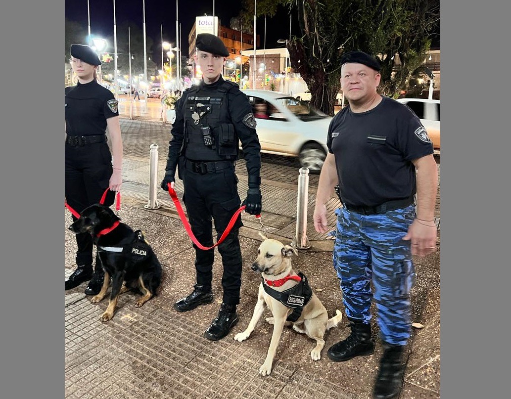 La Policía adoptó dos perros callejeros y los adiestran para tareas preventivas en Oberá
