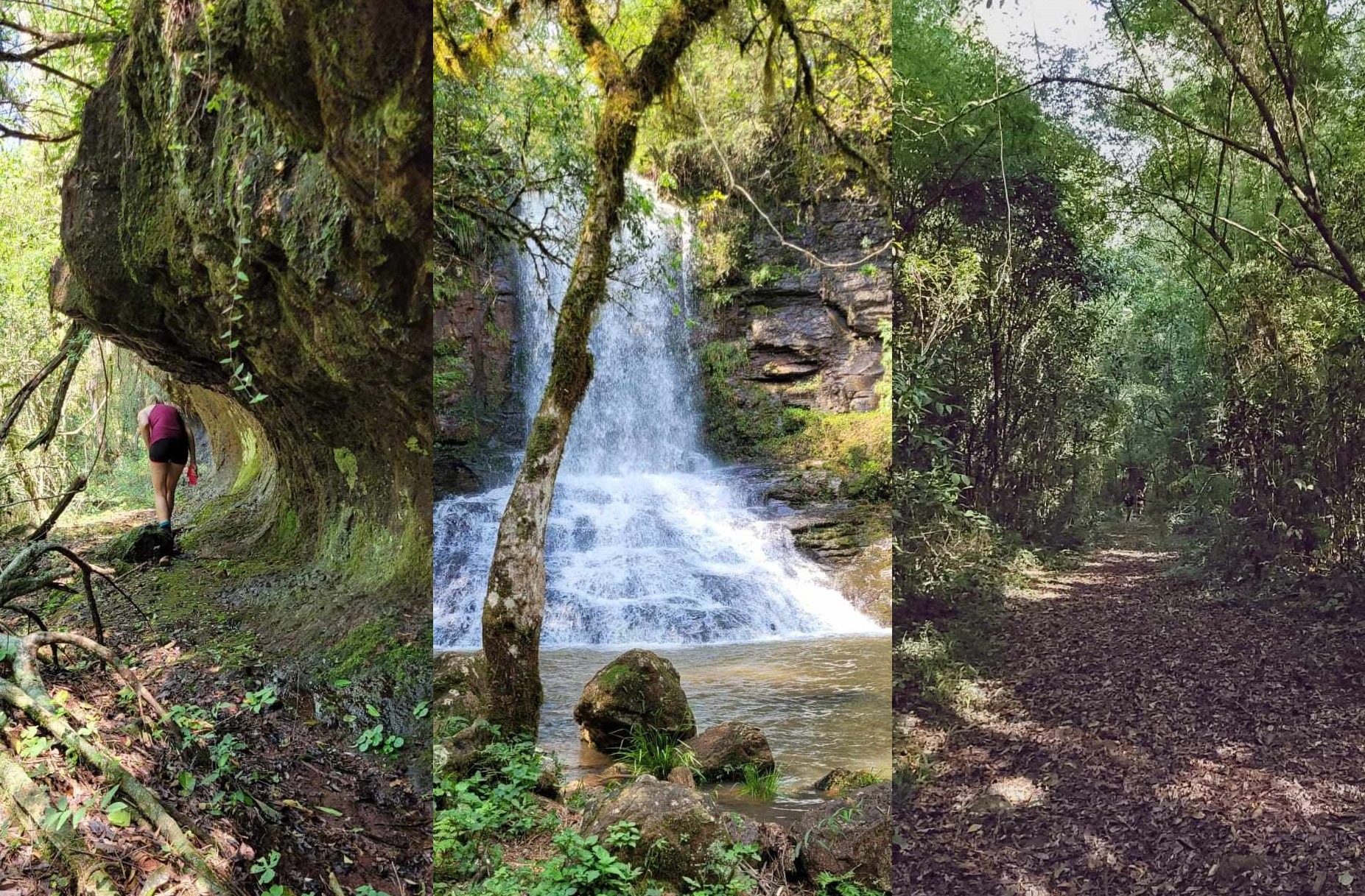 Guaraní Trail: un cita imperdible entre naturaleza y aventura