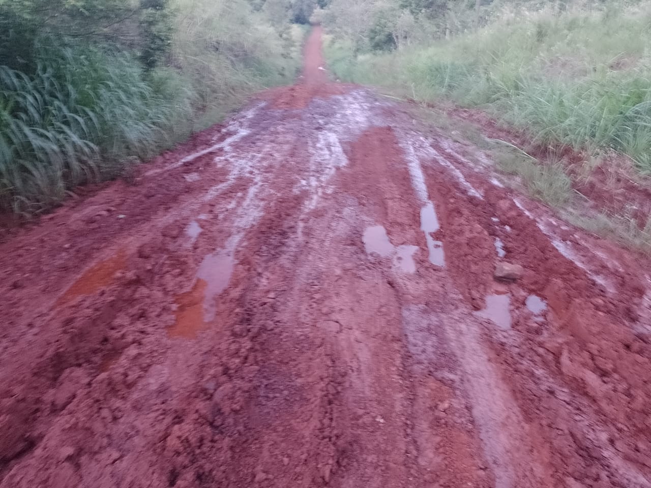 El intendente de Oberá impulsa el “estado de emergencia” vial de caminos terrados