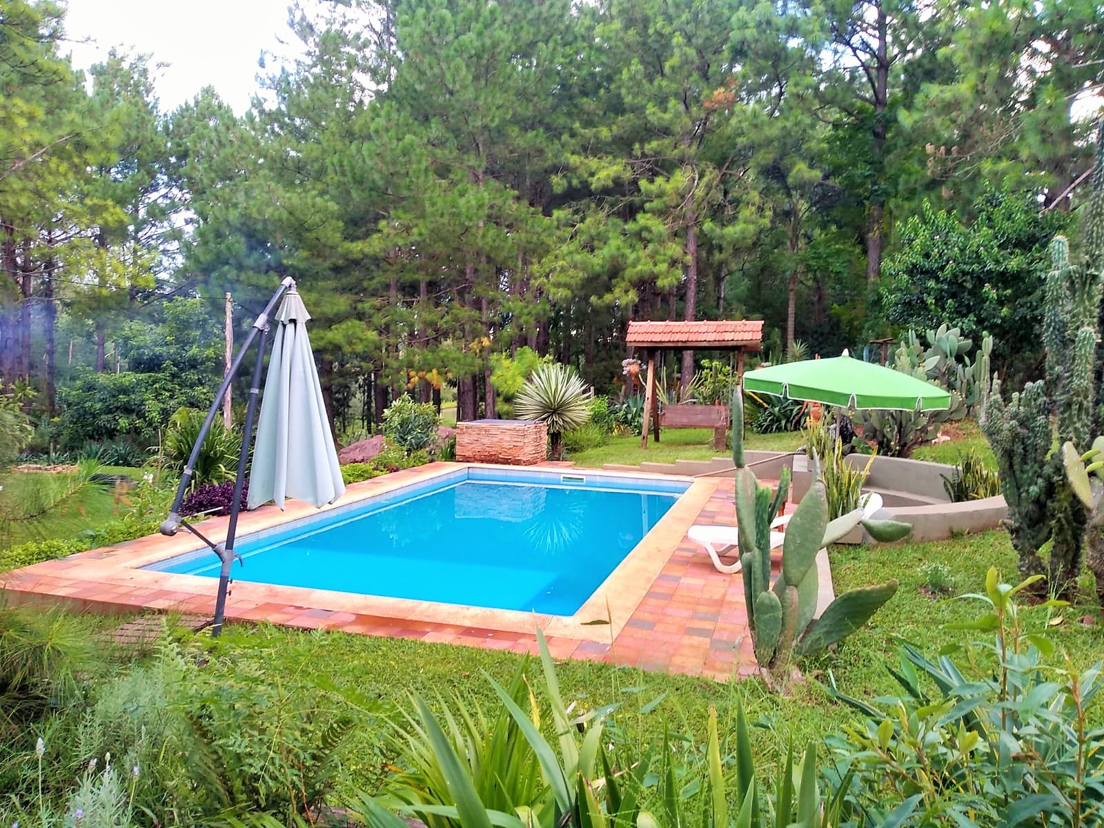 Roca Cactus, un espacio natural y confortable para disfrutar con familia y amigos