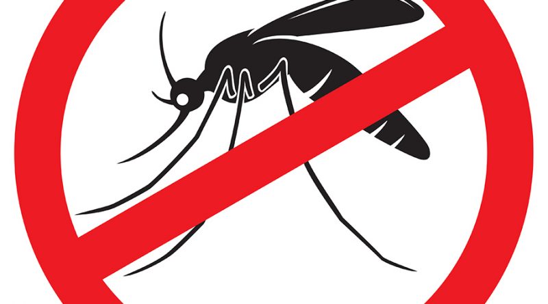 La mentira no previene el dengue: las estadísticas truchas impulsaron la expansión del mosquito y el desastre actual