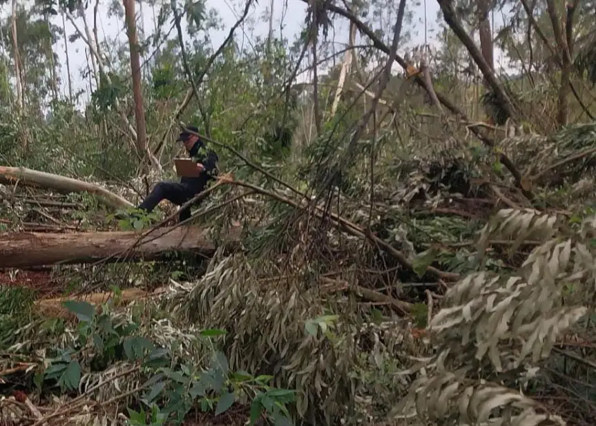 Tragedia en Campo Ramón: un hombre falleció aplastado por un árbol