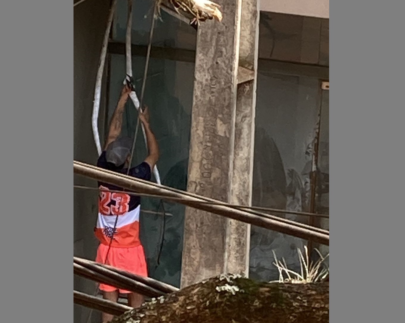 Intentaba robar cables del centro, lo vio un comerciante y terminó preso