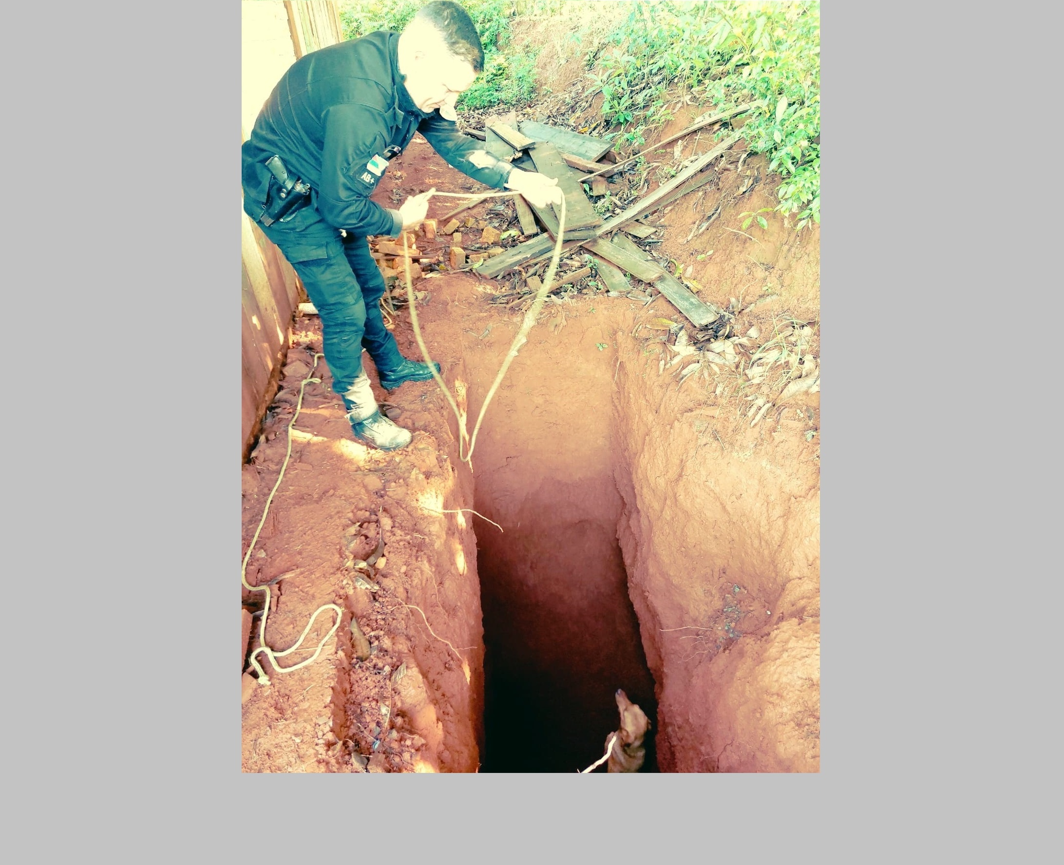 Perrito cayó en un pozo y fue rescatado por policías de Colonia Alberdi