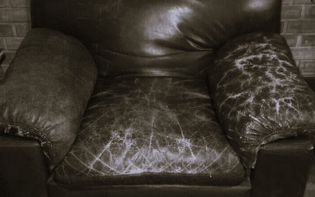 Tapicero obereño encontró 5600 dólares adentro de un sillón y los devolvió: el dueño le dio 100 de propina