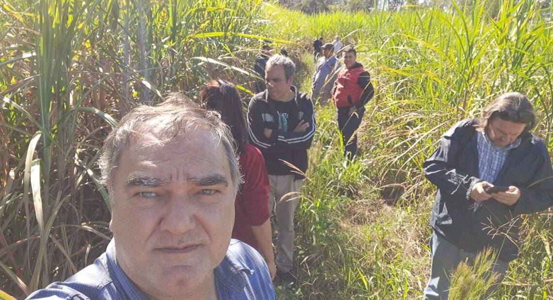 Funcionario renovador propuso “regular el uso de las redes sociales”