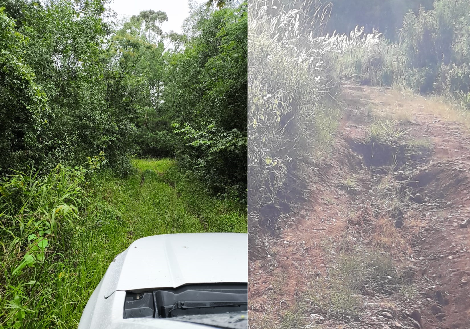 “Hace más de cuatro años que el intendente no manda a arreglar los caminos”