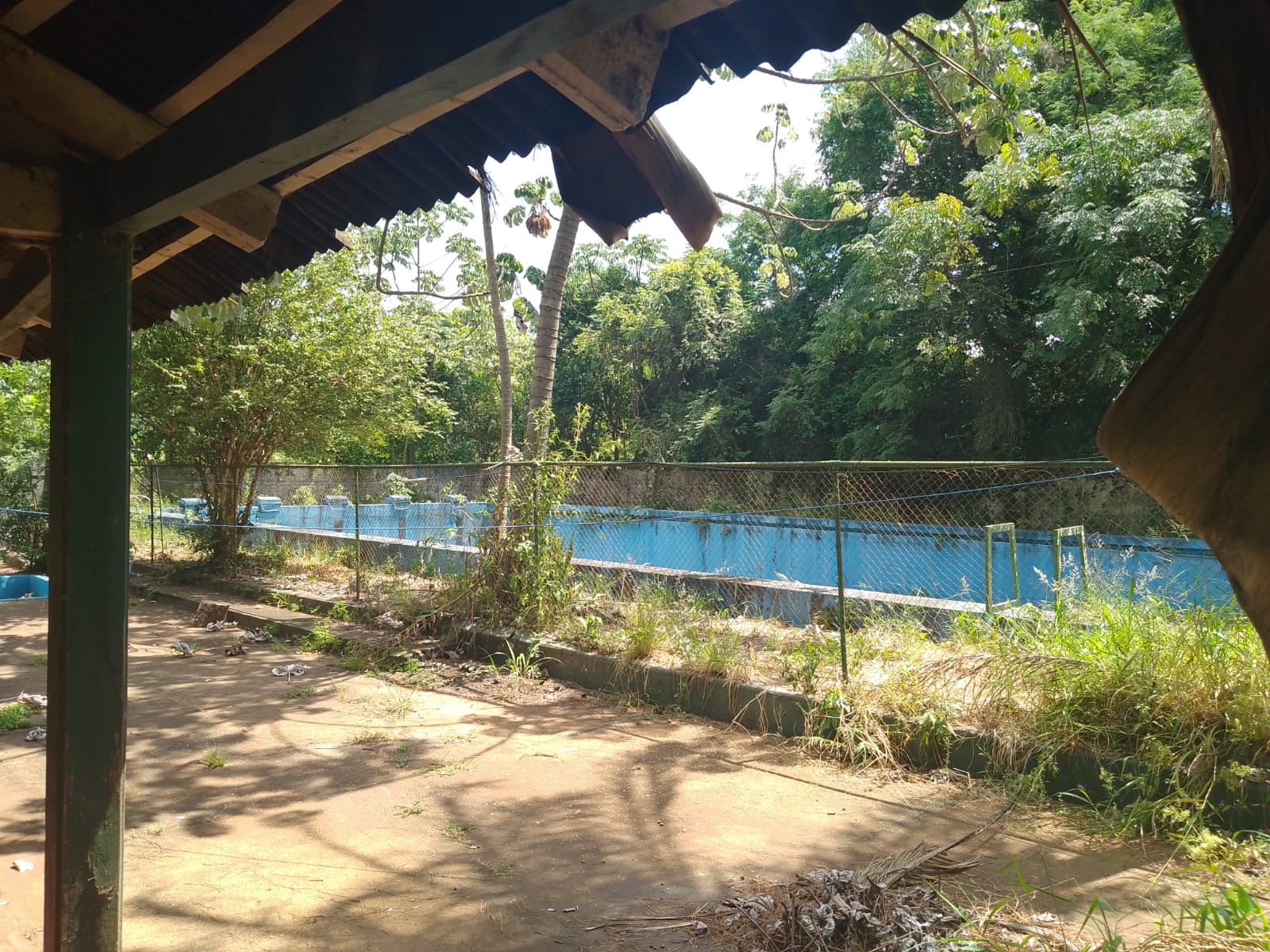 Triste presente del Club Libertad de Oberá: cuna de campeones convertida en capuera y mugre