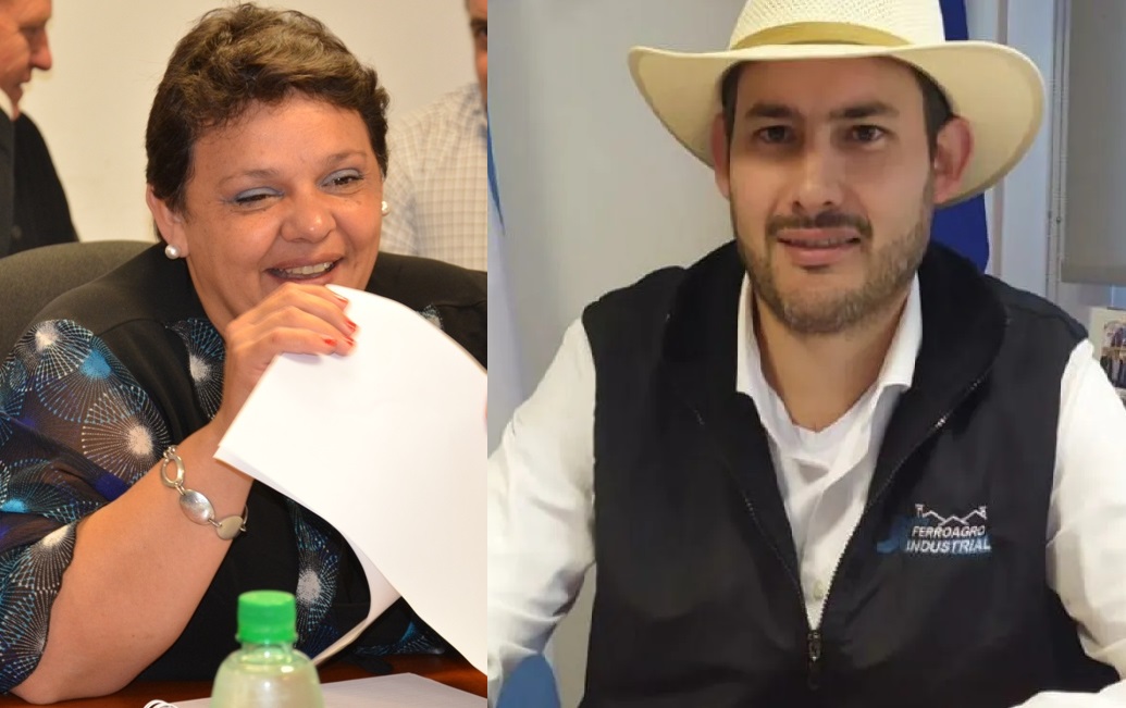 Crisis yerbatera: entre la desregulación, el libre mercado y los botonazos