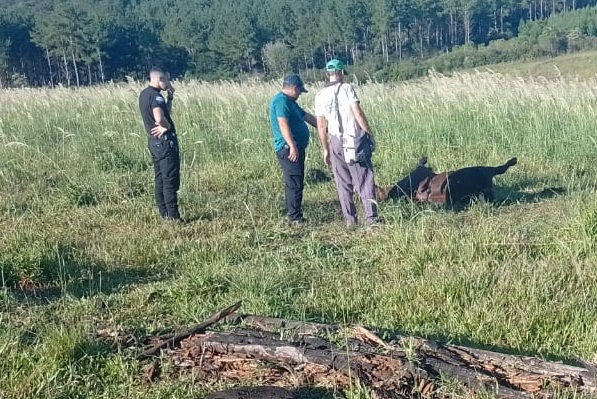 Veterinario descartó matanza de un vacuno en Campo Viera: el deceso fue por enfermedad