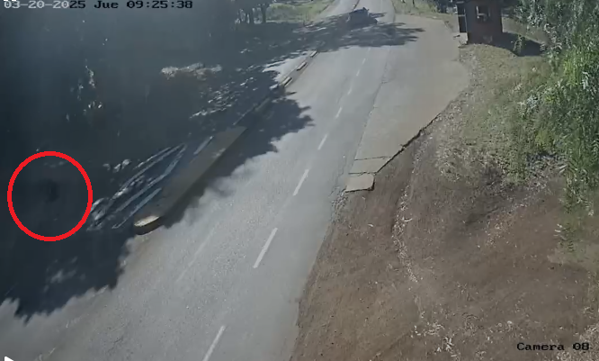 Cámaras de seguridad desacreditaron intento de secuestro de una menor en San Martín