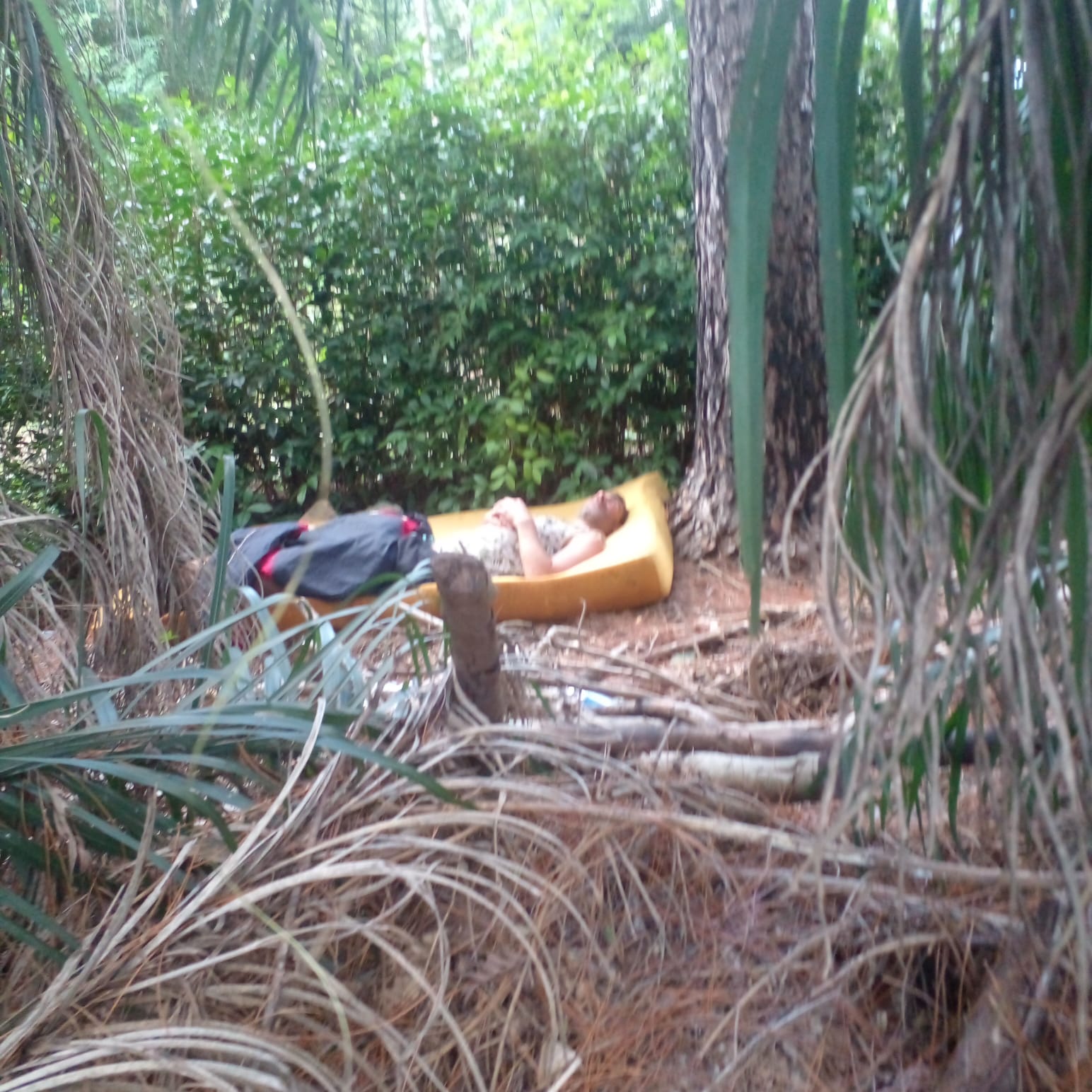 “Van a lastimar a alguien”: alarma por estado de abandono de un baldío a metros del Hospital
