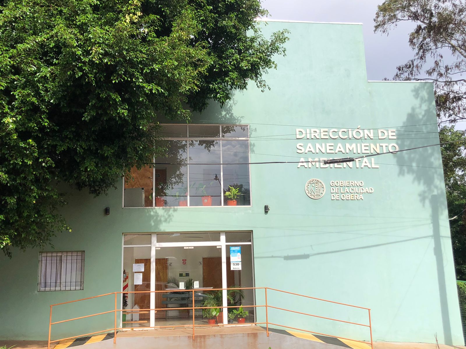 «Es impresionante el olor»: quejas de vecinos por una familia que acumula más de cien gatos en la casa