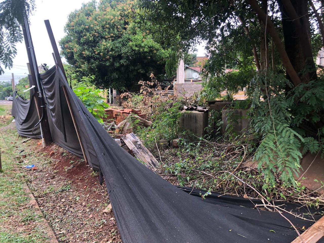 “Es una mina de ratas”: quejas por basural en predio de la facultad de Arte