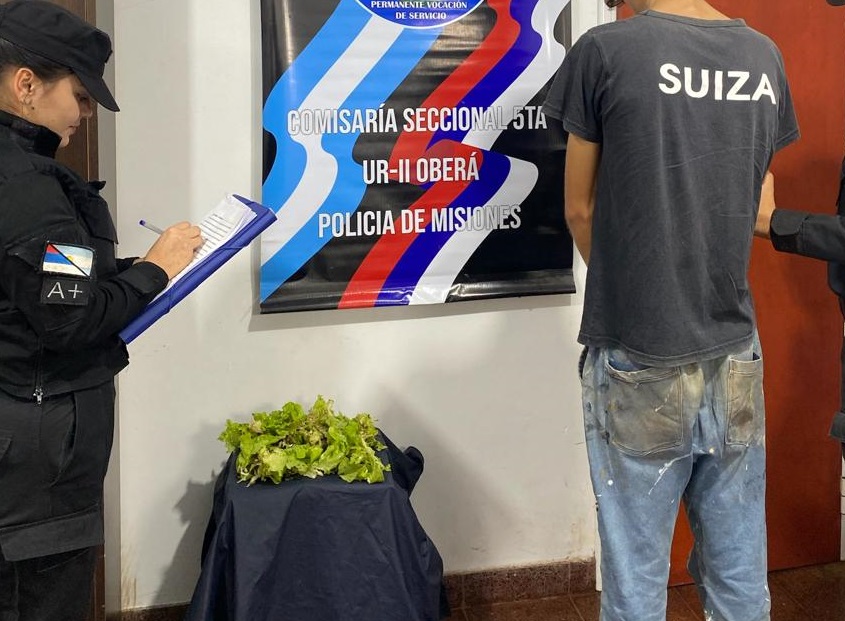 Detenido bajo sospecha de robar plantas de lechuga a su ex patrón