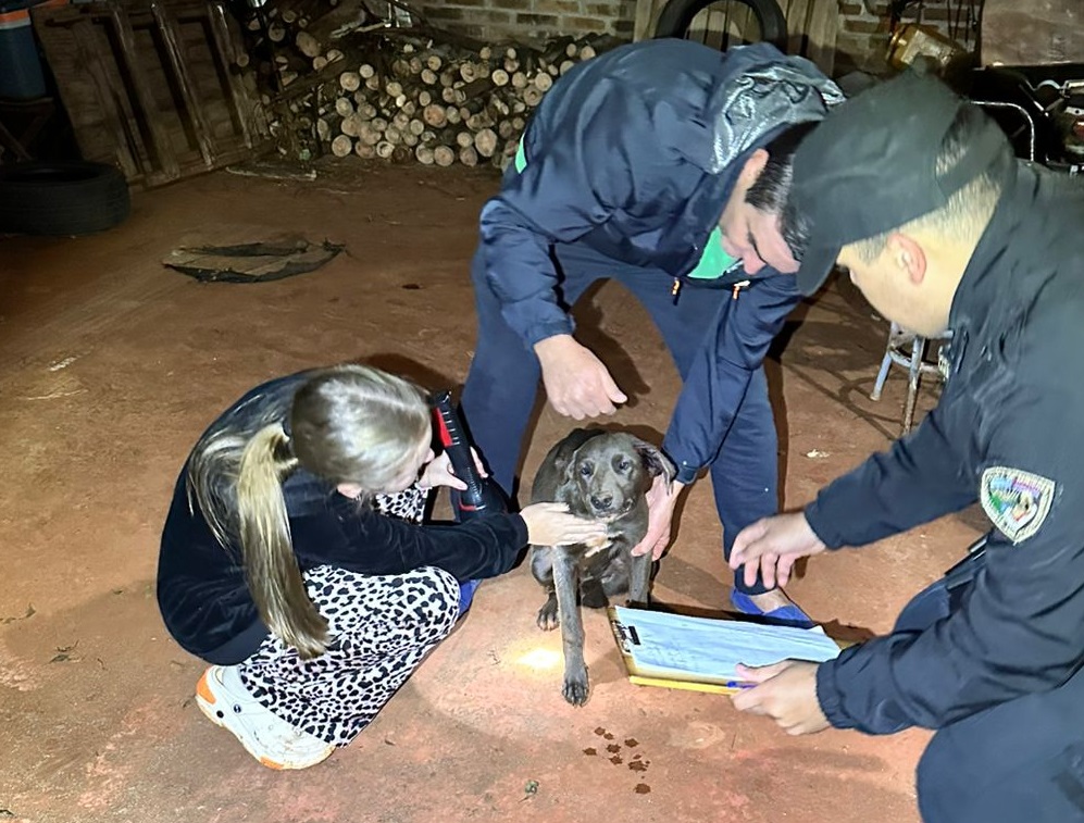 Baleó a una perrita, allanaron su casa y encontraron varias armas ilegales: terminó preso