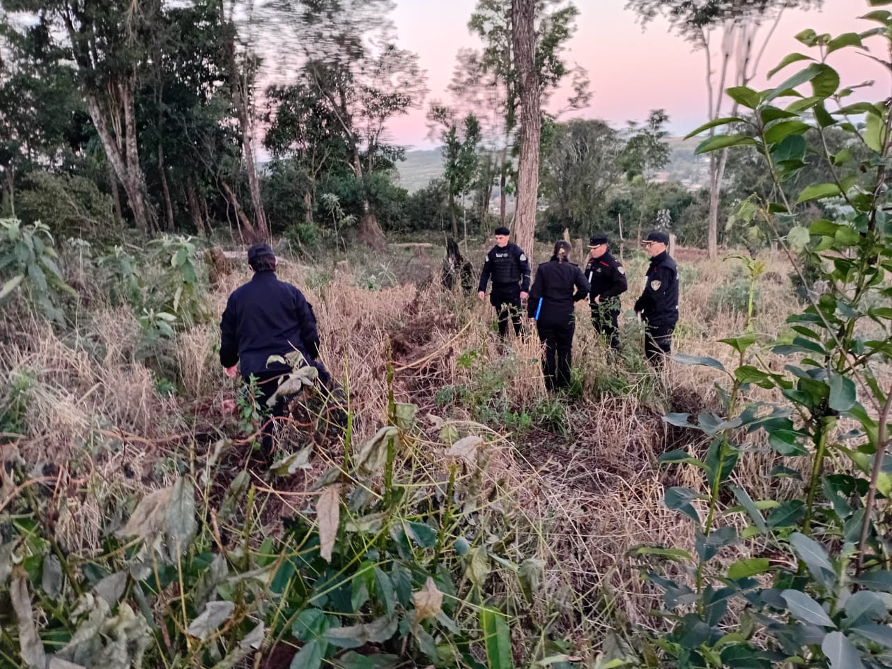 Trágico final: encontraron muerto a Guillermo Albino en un descampado