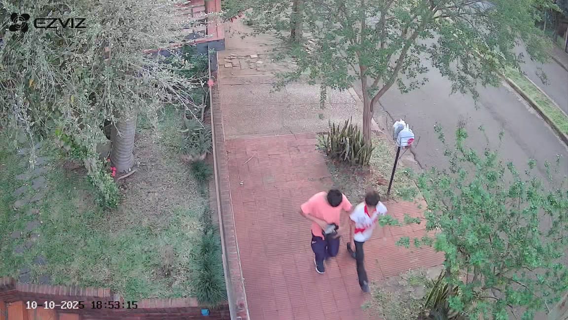 Tiene más de 60 causas, estuvo detenido y recuperó la libertad, pero a las 48 horas volvió a robar