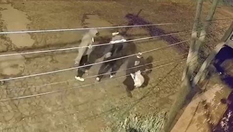 Tienen 14, 15 y 16 años y fueron grabados robando con cuchillo en Barrio Norte