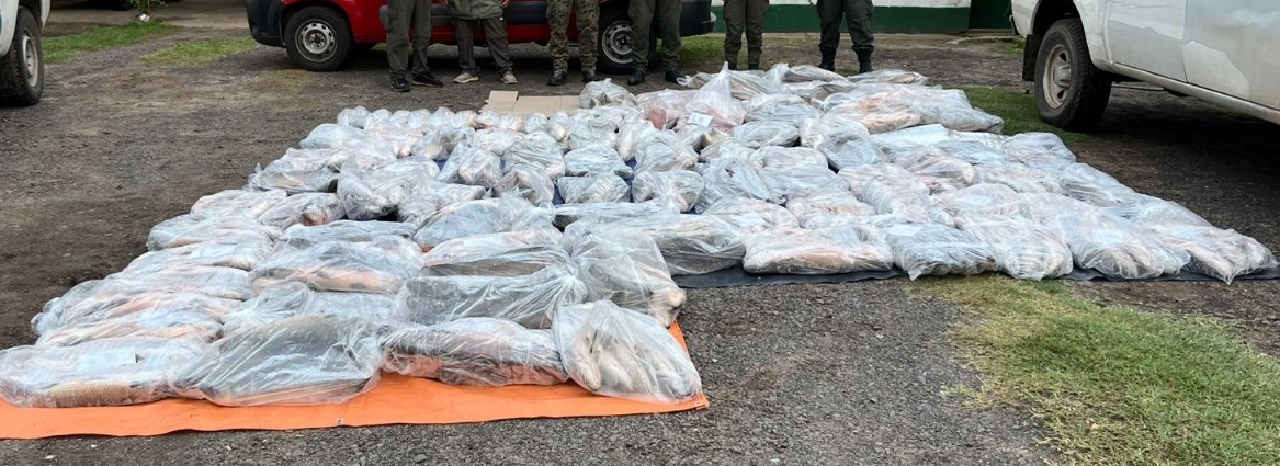 Gendarmería secuestró mil kilos de pescado por no respetar la cadena de frío