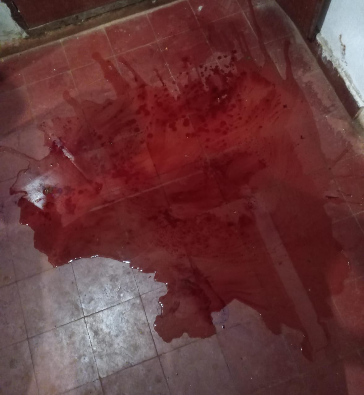 “La casa era un charco de sangre”: detuvieron a un policía por brutal paliza a su esposa en San Martín