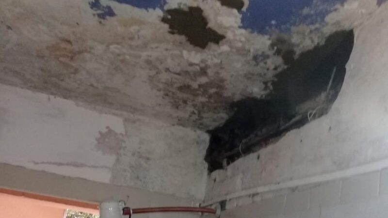 Entre filtraciones y gusanos, el calvario de vecinos del barrio Krause de Oberá