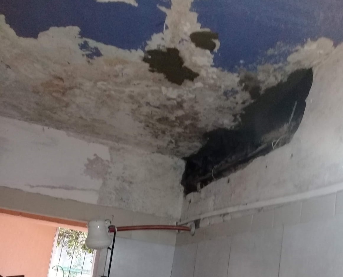 Entre filtraciones y gusanos, el calvario de vecinos del barrio Krause de Oberá