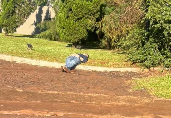 “Borrachos para juntar con pala, un peligro en la ruta”: tras evento privado en Guaraní