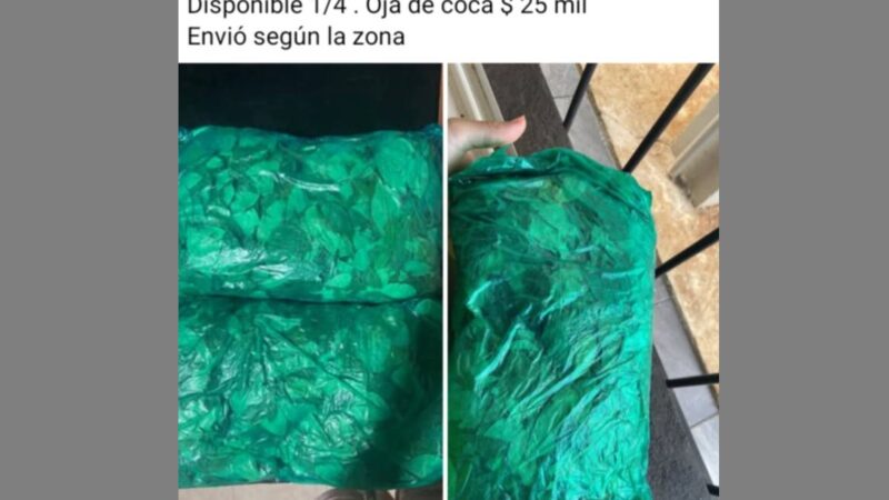 Perfil de Facebook obereño ofrece hojas de coca para la venta, violando la ley de estupefacientes  