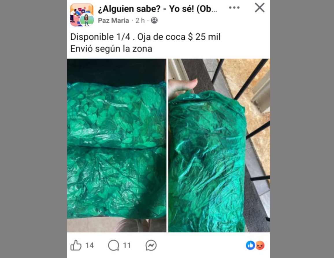 Perfil de Facebook obereño ofrece hojas de coca para la venta, violando la ley de estupefacientes  