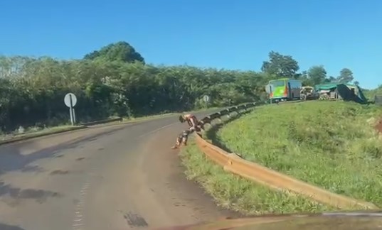 “Fue a una fiesta de disfraces y le drogaron; está bien, pero no se acuerda de nada”