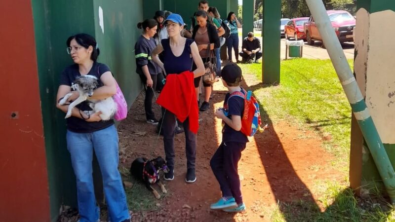 La protectora Patitas Felices de Oberá ya realizó 1101 castraciones este año: obra de amor y compromiso con las mascotas