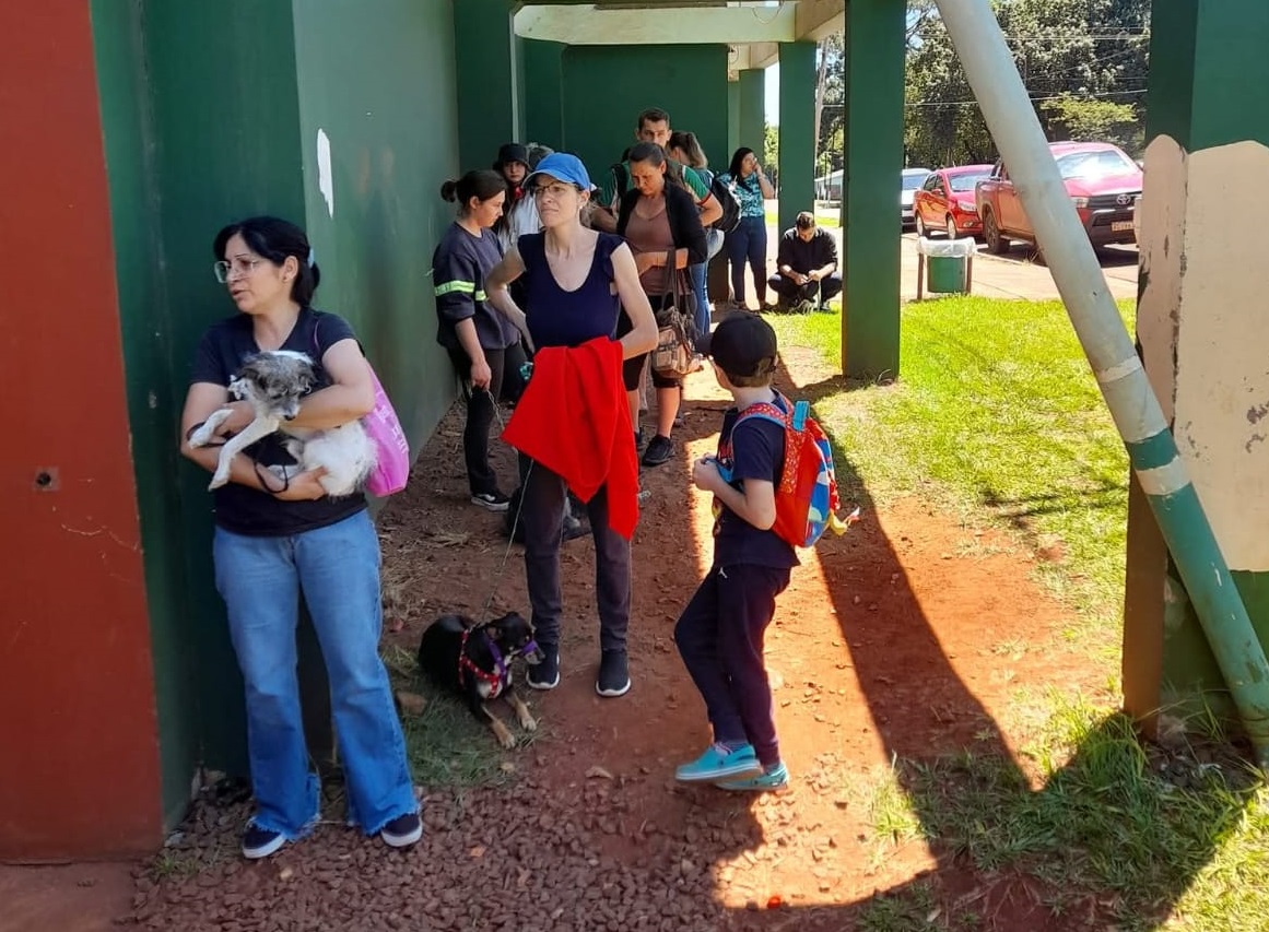 La protectora Patitas Felices de Oberá ya realizó 1101 castraciones este año: obra de amor y compromiso con las mascotas