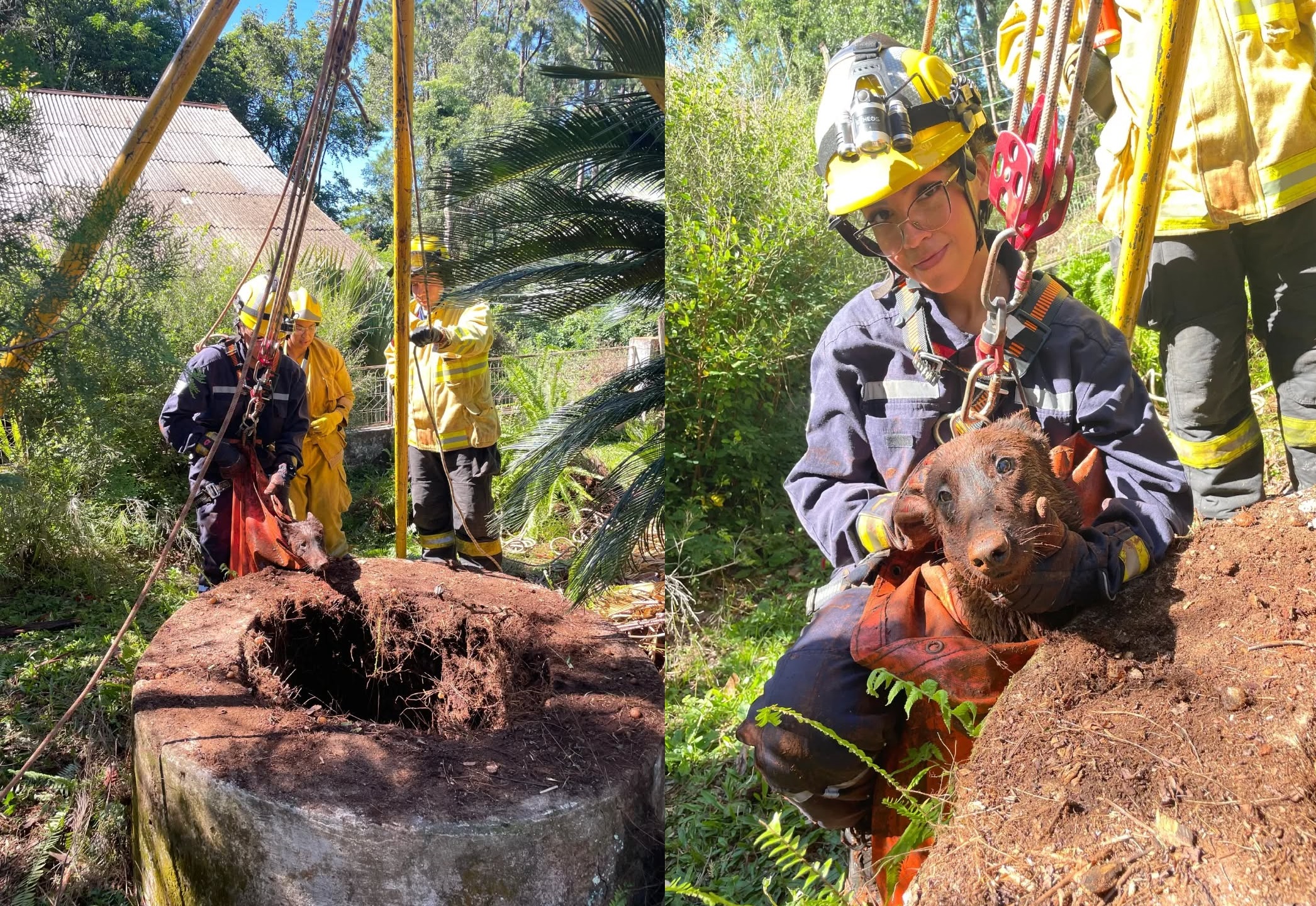 Bomberos Voluntarios rescataron sano y salvo a un perro que cayó a un pozo de 15 metros