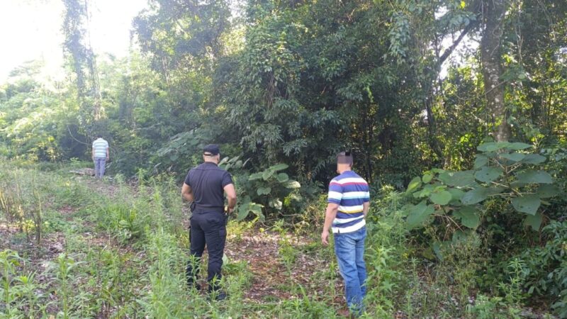 Encontraron el cadáver de una mujer en una zona de monte de Alem
