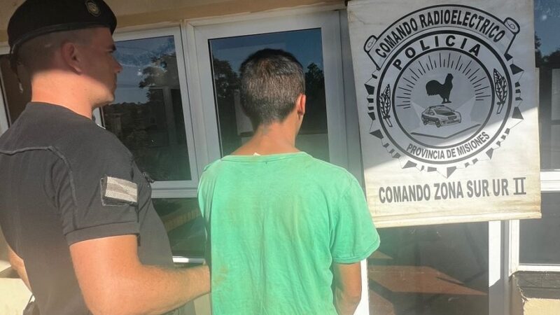 Una madre denunció a su propio hijo por robo junto a un compinche