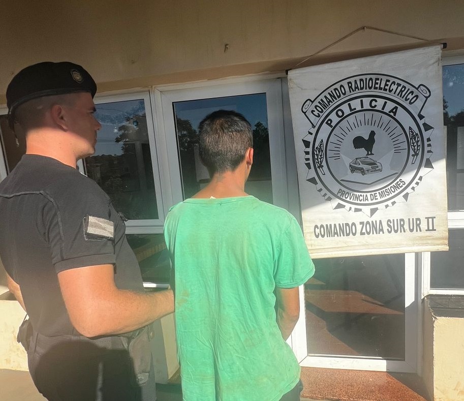 Una madre denunció a su propio hijo por robo junto a un compinche