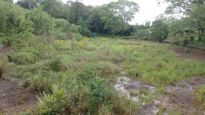 Concejales denunciaron “falta de transparencia y abandono en Florentino Ameghino”