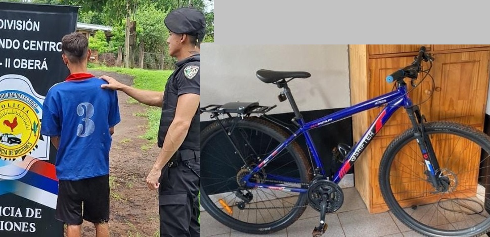 “Chicha” le robó la bici a un policía y terminó preso