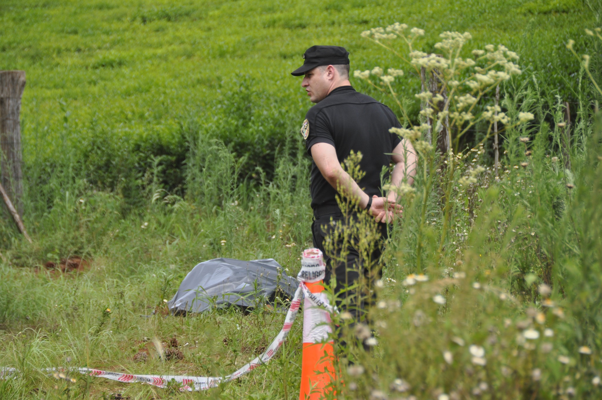 Homicidio de Hugo Von Steiger: analizarán el perfil psicológico del sospechoso
